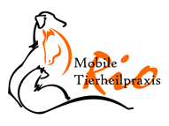 Logo Rio Tierheilpraxis mit Hund, Pferd, Katze